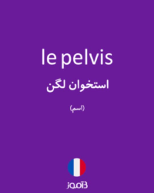  تصویر le pelvis - دیکشنری انگلیسی بیاموز