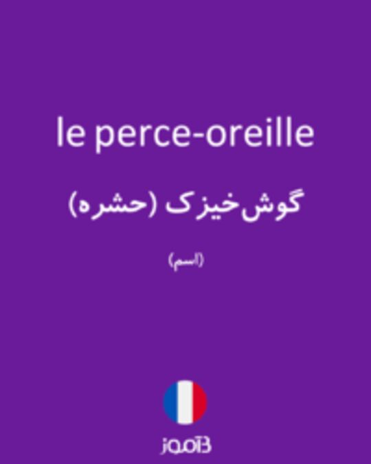  تصویر le perce-oreille - دیکشنری انگلیسی بیاموز