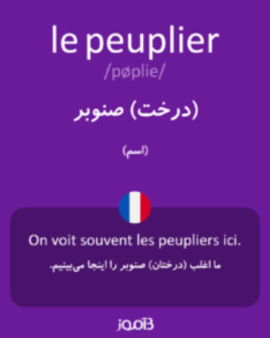  تصویر le peuplier - دیکشنری انگلیسی بیاموز