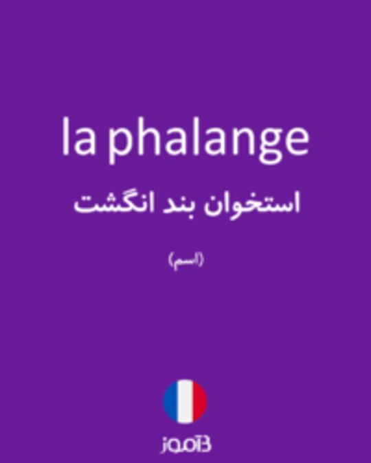  تصویر la phalange - دیکشنری انگلیسی بیاموز