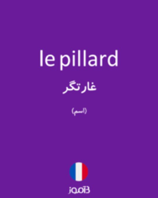  تصویر le pillard - دیکشنری انگلیسی بیاموز