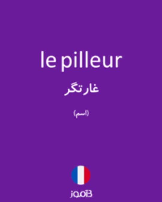  تصویر le pilleur - دیکشنری انگلیسی بیاموز