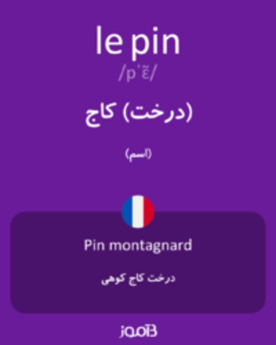  تصویر le pin - دیکشنری انگلیسی بیاموز