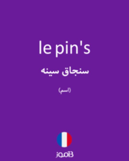  تصویر le pin's - دیکشنری انگلیسی بیاموز