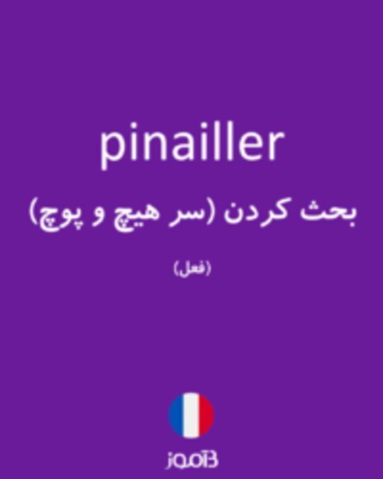  تصویر pinailler - دیکشنری انگلیسی بیاموز