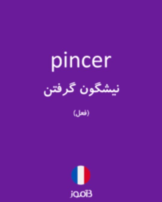  تصویر pincer - دیکشنری انگلیسی بیاموز