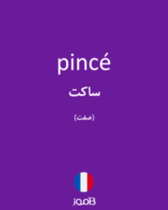  تصویر pincé - دیکشنری انگلیسی بیاموز