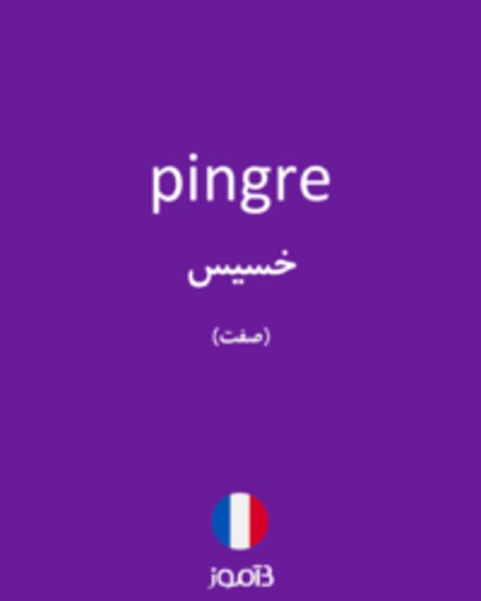  تصویر pingre - دیکشنری انگلیسی بیاموز