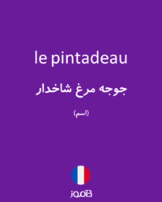  تصویر le pintadeau - دیکشنری انگلیسی بیاموز