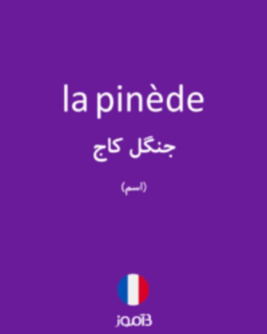  تصویر la pinède - دیکشنری انگلیسی بیاموز