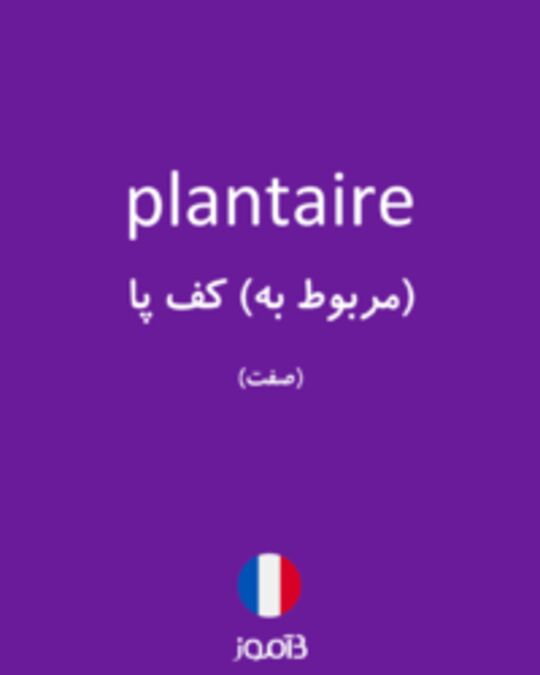  تصویر plantaire - دیکشنری انگلیسی بیاموز