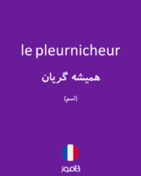  تصویر le pleurnicheur - دیکشنری انگلیسی بیاموز