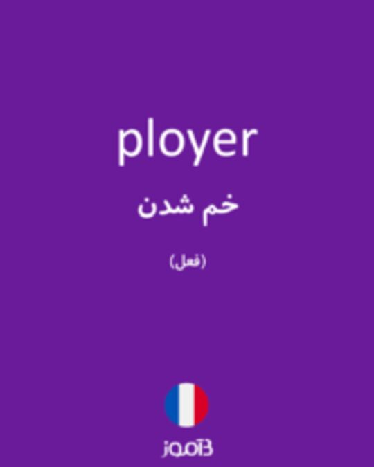  تصویر ployer - دیکشنری انگلیسی بیاموز