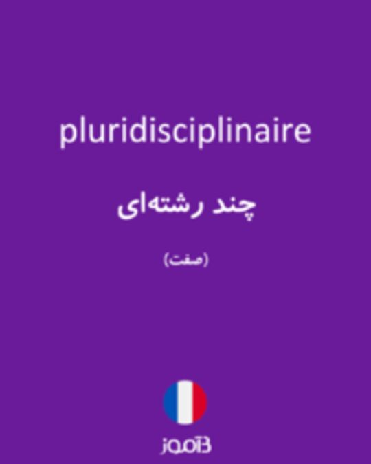  تصویر pluridisciplinaire - دیکشنری انگلیسی بیاموز