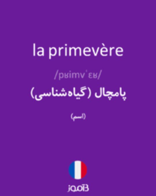  تصویر la primevère - دیکشنری انگلیسی بیاموز