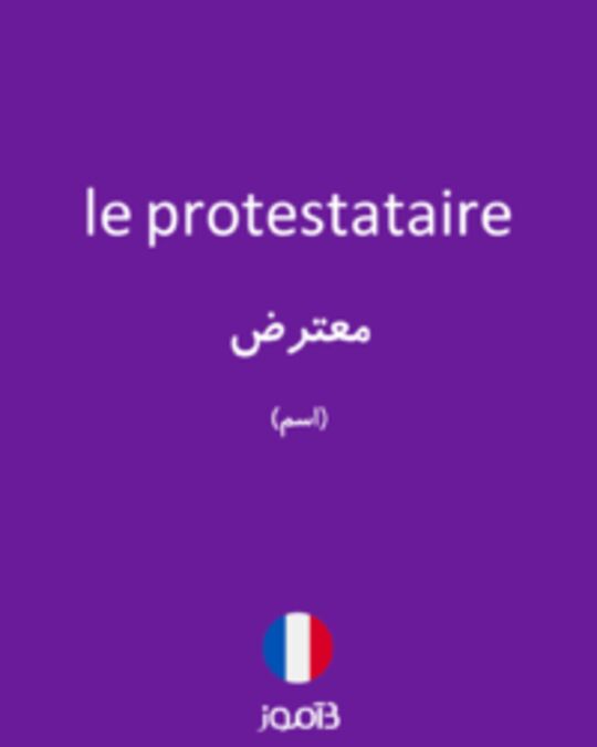  تصویر le protestataire - دیکشنری انگلیسی بیاموز