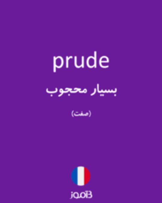  تصویر prude - دیکشنری انگلیسی بیاموز