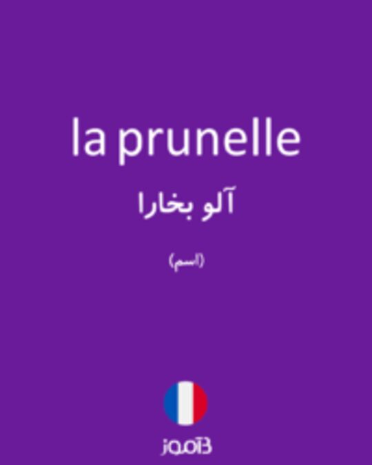  تصویر la prunelle - دیکشنری انگلیسی بیاموز