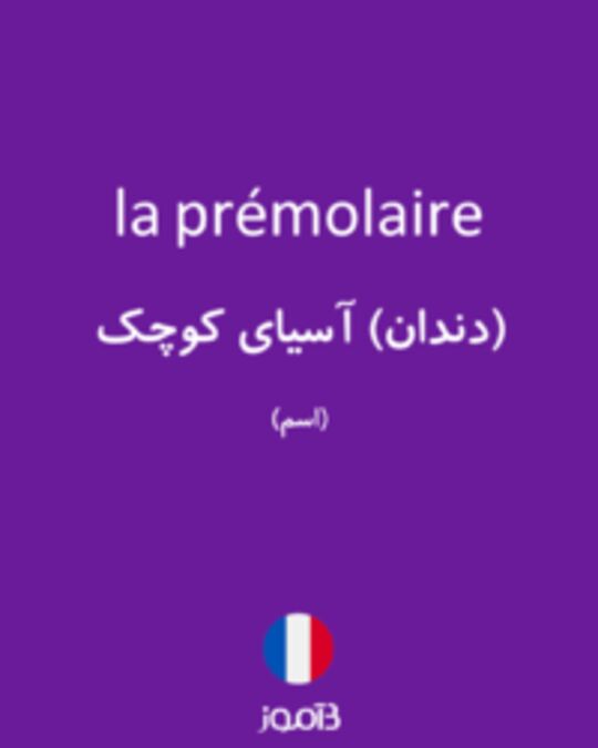  تصویر la prémolaire - دیکشنری انگلیسی بیاموز