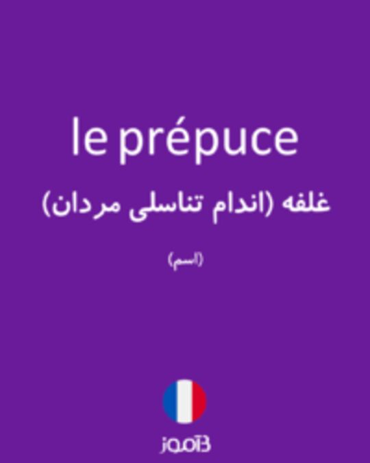  تصویر le prépuce - دیکشنری انگلیسی بیاموز