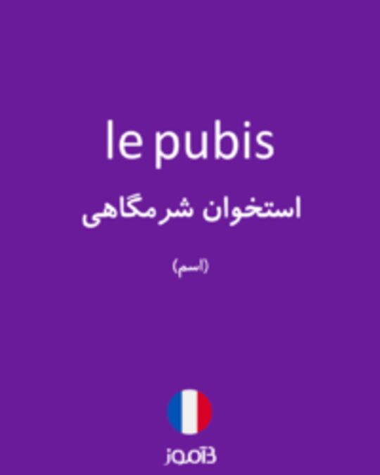  تصویر le pubis - دیکشنری انگلیسی بیاموز