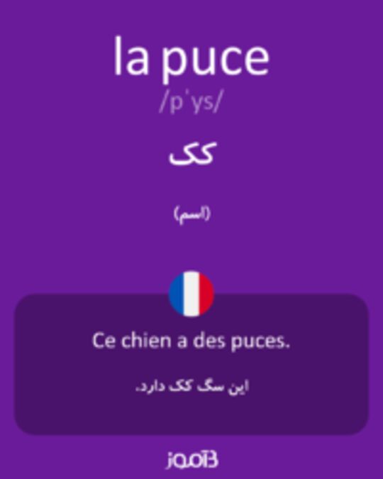  تصویر la puce - دیکشنری انگلیسی بیاموز