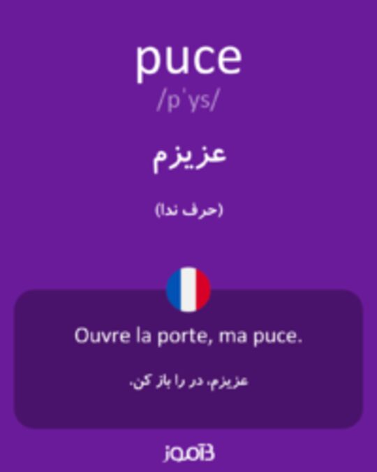  تصویر puce - دیکشنری انگلیسی بیاموز