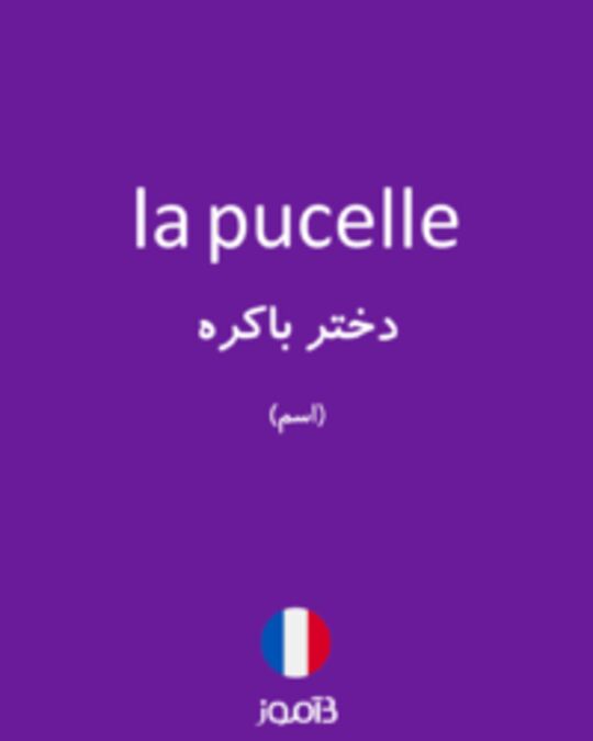  تصویر la pucelle - دیکشنری انگلیسی بیاموز