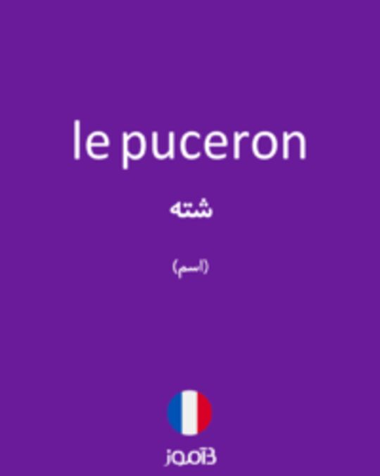  تصویر le puceron - دیکشنری انگلیسی بیاموز