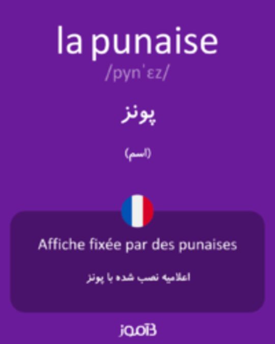  تصویر la punaise - دیکشنری انگلیسی بیاموز