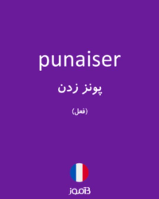  تصویر punaiser - دیکشنری انگلیسی بیاموز