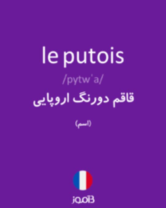  تصویر le putois - دیکشنری انگلیسی بیاموز