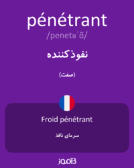  تصویر pénétrant - دیکشنری انگلیسی بیاموز