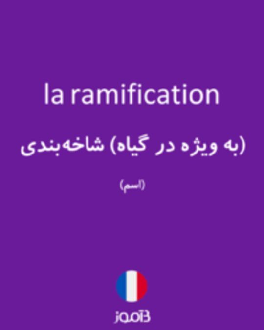  تصویر la ramification - دیکشنری انگلیسی بیاموز