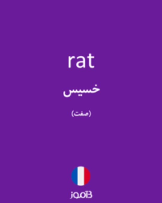  تصویر rat - دیکشنری انگلیسی بیاموز