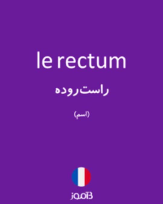  تصویر le rectum - دیکشنری انگلیسی بیاموز