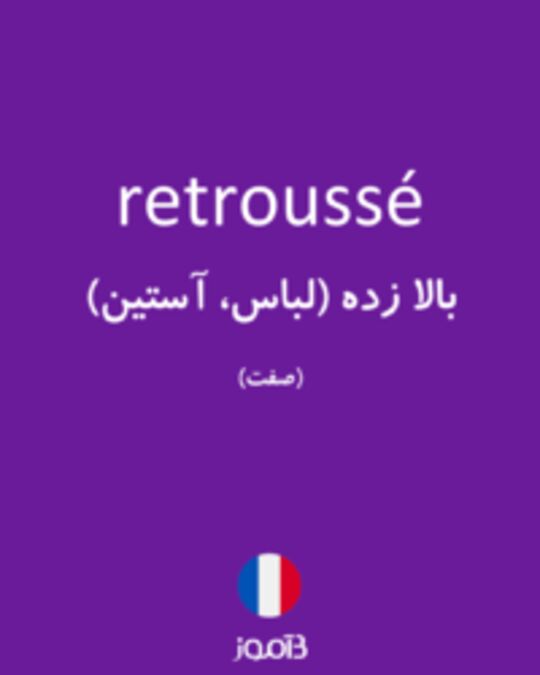  تصویر retroussé - دیکشنری انگلیسی بیاموز