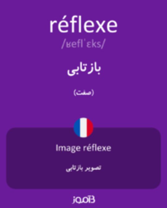  تصویر réflexe - دیکشنری انگلیسی بیاموز