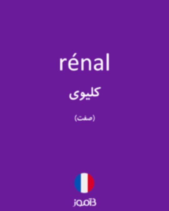  تصویر rénal - دیکشنری انگلیسی بیاموز