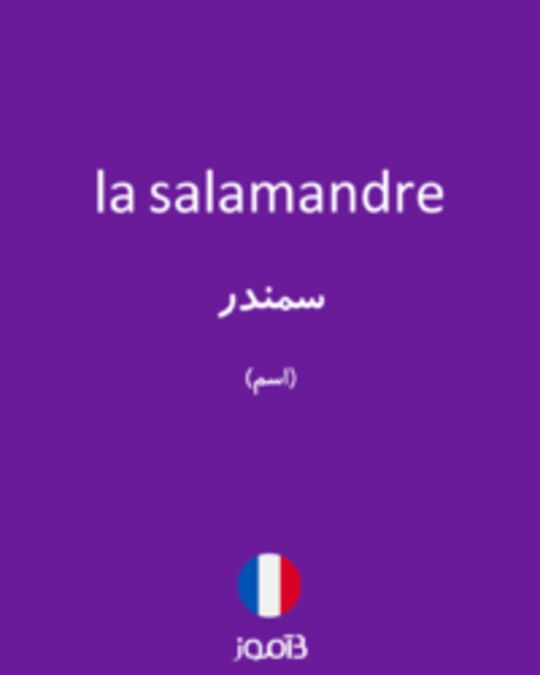 تصویر la salamandre - دیکشنری انگلیسی بیاموز