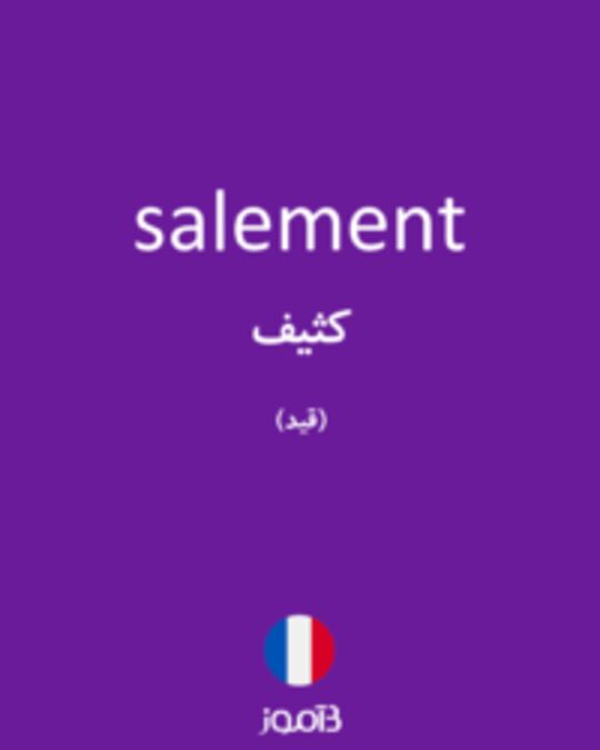  تصویر salement - دیکشنری انگلیسی بیاموز