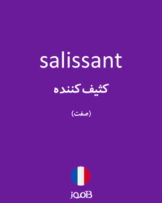  تصویر salissant - دیکشنری انگلیسی بیاموز