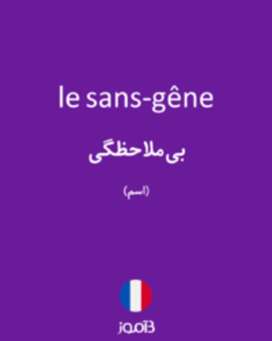  تصویر le sans-gêne - دیکشنری انگلیسی بیاموز