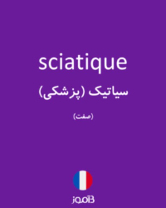  تصویر sciatique - دیکشنری انگلیسی بیاموز