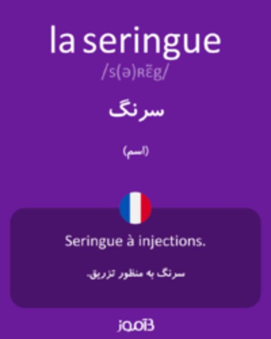  تصویر la seringue - دیکشنری انگلیسی بیاموز