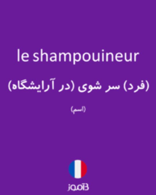 تصویر le shampouineur - دیکشنری انگلیسی بیاموز