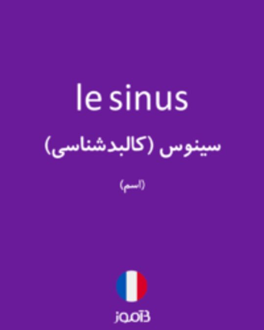  تصویر le sinus - دیکشنری انگلیسی بیاموز