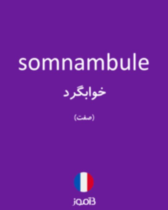  تصویر somnambule - دیکشنری انگلیسی بیاموز