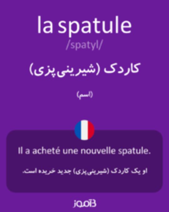  تصویر la spatule - دیکشنری انگلیسی بیاموز