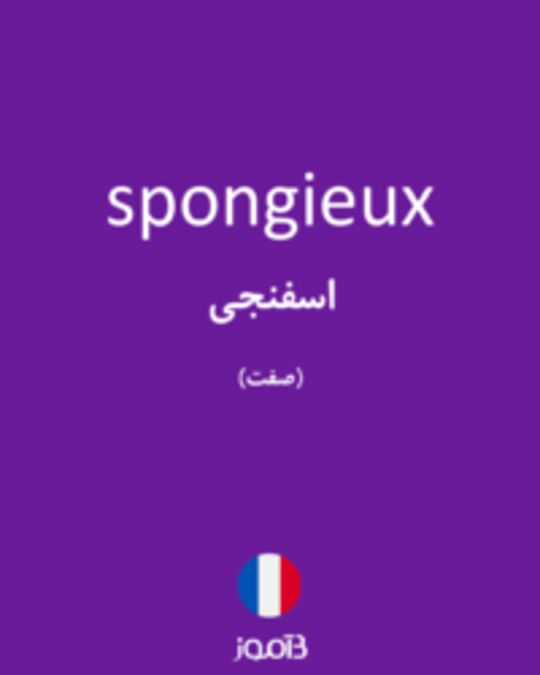  تصویر spongieux - دیکشنری انگلیسی بیاموز